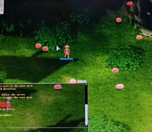 卓越猫族仙境传说2025年12月2日公开测试