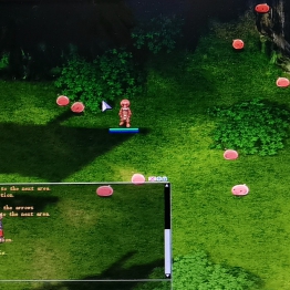 卓越猫族仙境传说2025年12月2日公开测试